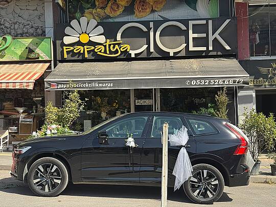 Büyük Fiyonklu Gelin Arabası  - 4